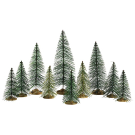 Needle Pine Trees
