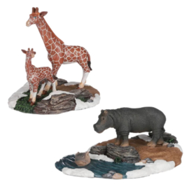 Hippo - Giraffe, Set van 2