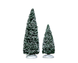 Snowy Juniper Tree, Medium & Small, Set Of 2