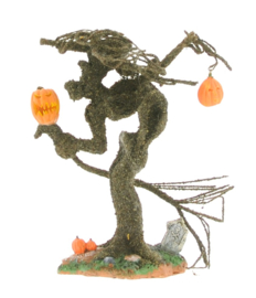 Witch Tree Pumpkins - Import United States