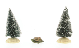 Turtles