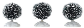 Round Bristle Tree, Set Of 3