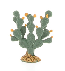 Prickly Pears 6cm