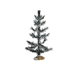 White Pine Medium - Coventry Cove - Import United States