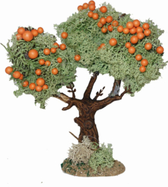 Fruit tree 12cm
