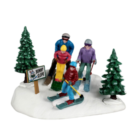Family Ski Day - NEW 2026 PRE-ORDER