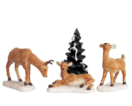Dad And Fawns, Set Of 4