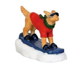 Snowboarding Dog