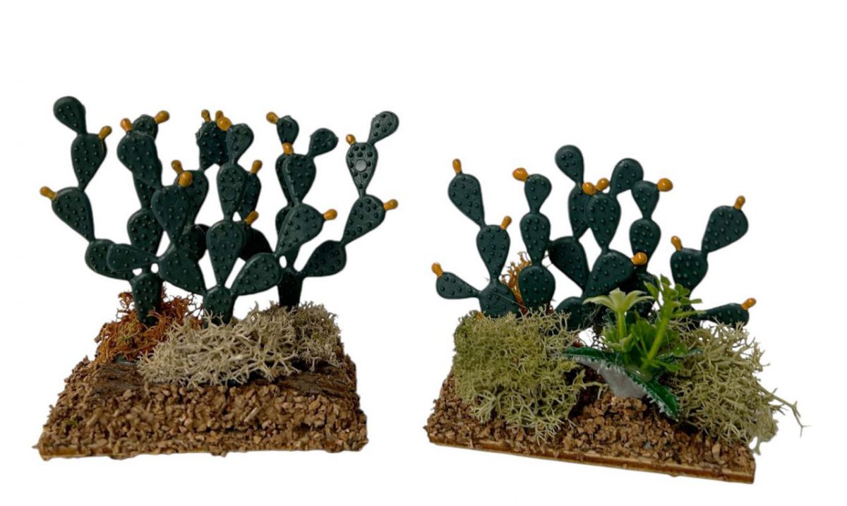 Prickly pear cactus and pitas group 8cm