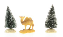 Camel, 5cm