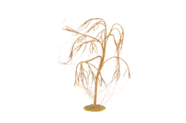 Winter Willow Extra Large