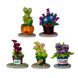 Hungry Houseplant Horror,  Set Of 5 - NEW 2024