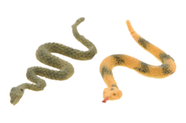 Snakes 2pcs.