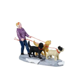 Dog Walker - NEW 2025