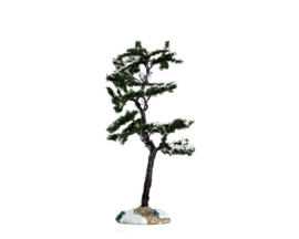 Marcesent Tree, Small