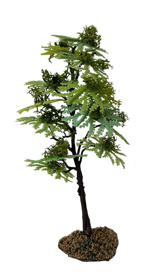 Beech with moss 17cm