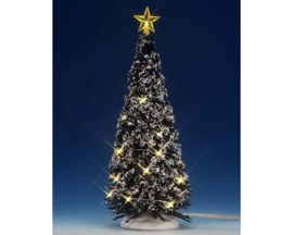 Clear Light Evergreen Tree