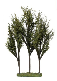Tree dark green - NEW 2026