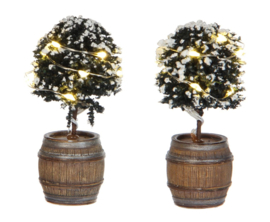 Buxus tree in a barrel 2 pieces 8,5 cm battery operated