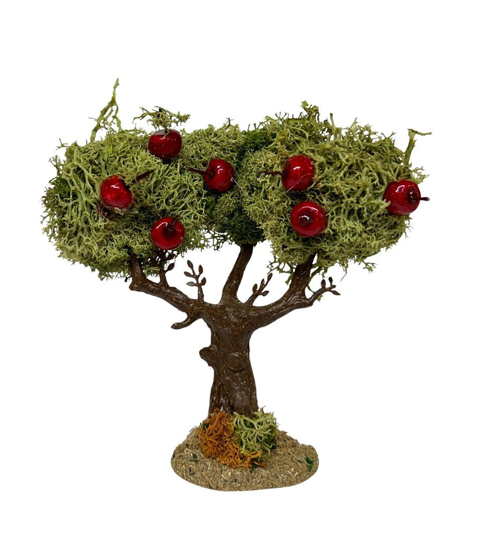 Apple tree 12cm