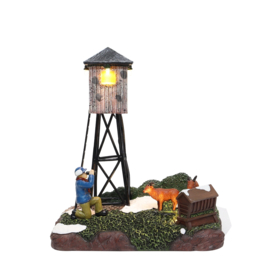 Wildlife Observation