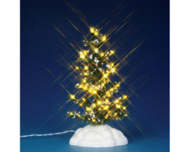 Lighted Pine Tree Medium