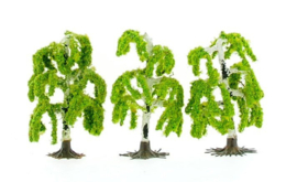 Mini bomen (max 10 cm hoog)