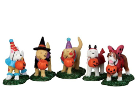 Trick Or Treating Dogs, Set Of 5