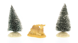 Camel, 5cm