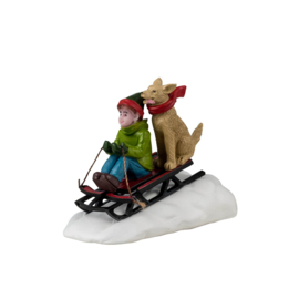 Doggone Downhill Sledding - NEW 2024