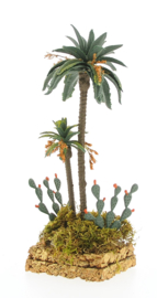 Prickly Pear Palm Group 22cm