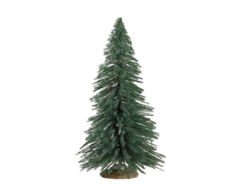 Spruce Tree, Medium