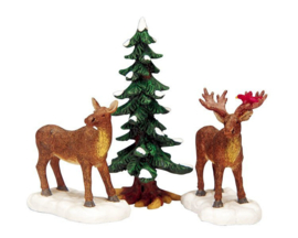 Mr. And Mrs. Moose, Set of 3