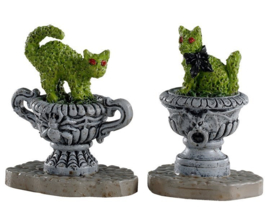 Haunted Topiary