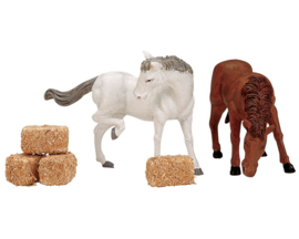 Feed For The Horses, Set Of 6