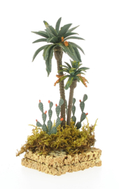 Prickly Pear Palm Group 19cm