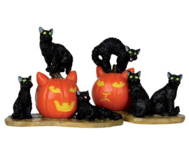 Halloween Cats, Set Of 2