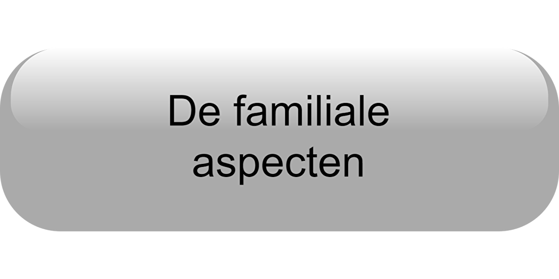 De familiale aspecten