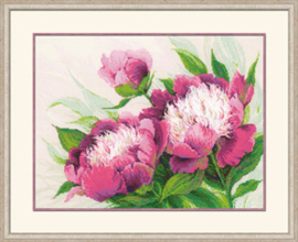 Pink Peonies | Aida Telpakket | Riolis