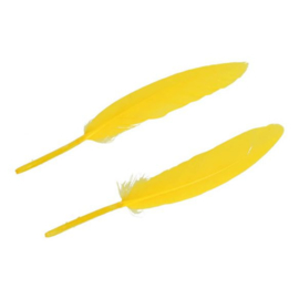 Yellow Feathers 11-15cm / 4.3"-5.9"