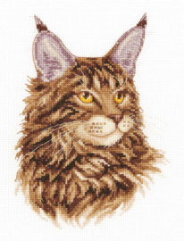 Maine Coon | Aida Borduurpakket | Panna