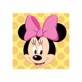 Minnie Mouse Polka borduurpakket voorbedrukt stramien