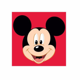 Mickey Mouse borduurpakket voorbedrukt stramien