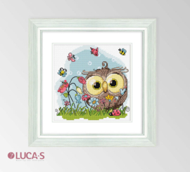 Happy owl | Aida telpakket | Luca-S