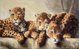 Leopards | aida telpakket | Leti Stitch