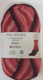 WS Whistler Phil Socks Phildar