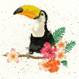 Toucan of my affection | Hannah Dale | XHD21 | Aida telpakket | Bothy Threads