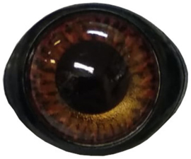10mm/0.4" Brown Safety Eyes with Eyelid