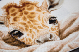 The Baby Giraffe | Aida | Luca-S telpakket