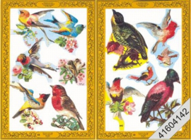 Birds | Poezieplaatjes | Mamelok Press Ltd